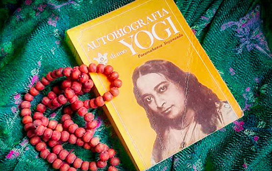 Content Img Left